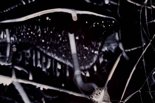 The fracture pattern of a liquid crystal, in black and white.